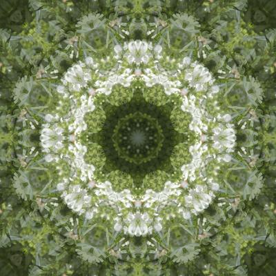 Photographic Print, , small