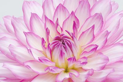 Photographic Print, , small