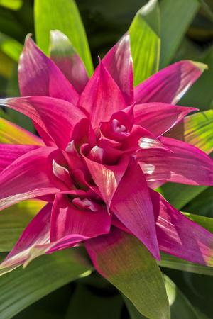 Photographic Print, , small