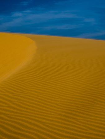 Photographic Print, , small