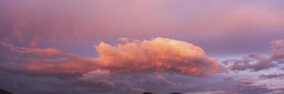 Photographic Print, , small