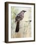 A Special Place Any Time of the Day-Trudy Rice-Framed Art Print