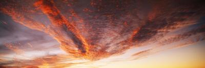 Photographic Print, , small