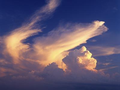 Photographic Print, , small