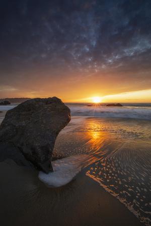 Photographic Print, , small