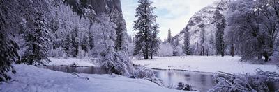 Photographic Print, , small