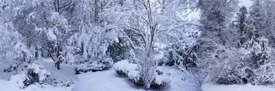 Photographic Print, , small