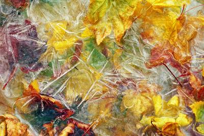 Photographic Print, , small