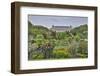 Jardin des plantes and Grande Galerie de l'Evoiution Paris, France-Darrell Gulin-Framed Photographic Print