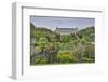 Jardin des plantes and Grande Galerie de l'Evoiution Paris, France-Darrell Gulin-Framed Photographic Print