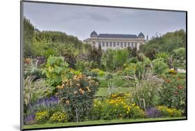 Jardin des plantes and Grande Galerie de l'Evoiution Paris, France-Darrell Gulin-Mounted Photographic Print
