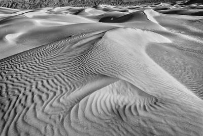 Photographic Print, , small