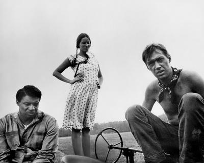 Photo, , small