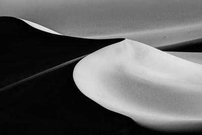 Photographic Print, , small