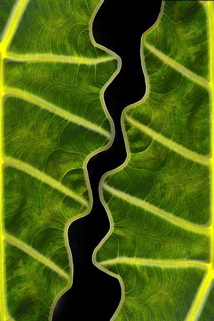 Photographic Print, , small