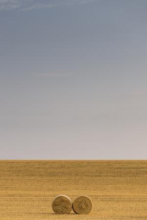 Photographic Print, , small