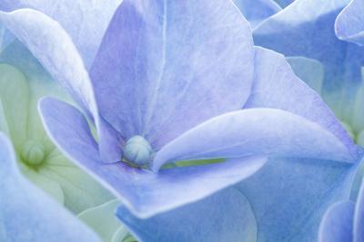 Photographic Print, , small