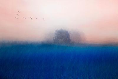 Photographic Print, , small