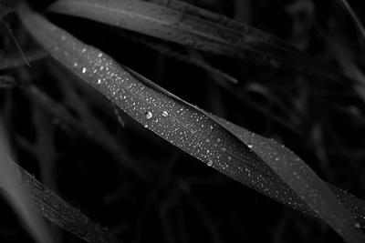 Photographic Print, , small