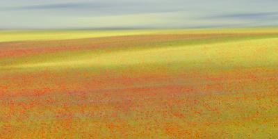 Photographic Print, , small