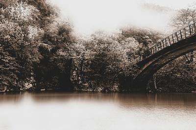 Photographic Print, , small