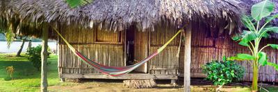 Photographic Print, , small
