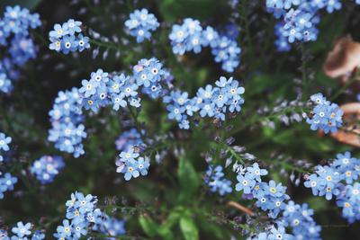 Photographic Print, , small