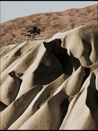 Photographic Print, , small