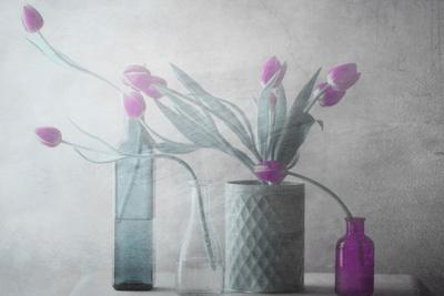 Photographic Print, , small