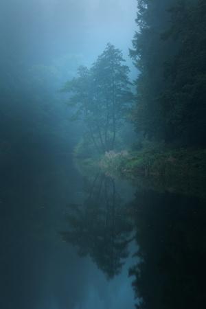 Photographic Print, , small
