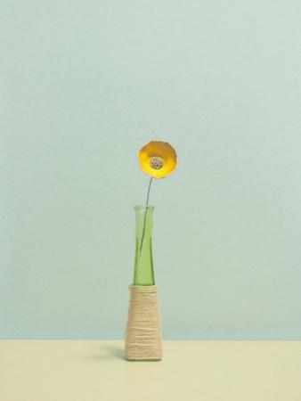 Photographic Print, , small
