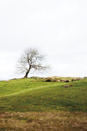 Photographic Print, , small