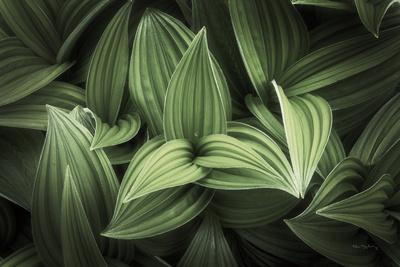 Photographic Print, , small