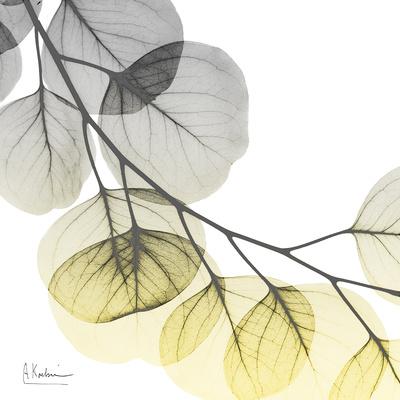 Photographic Print, , small