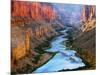 Mile 52 Colorado River-John Gavrilis-Mounted Photographic Print