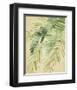 Banana Palms II-Jennifer Parker-Framed Art Print