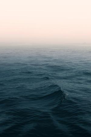 Photographic Print, , small
