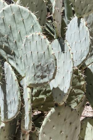 Photographic Print, , small