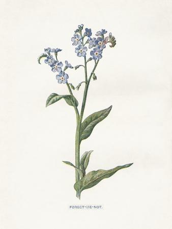Art Print, , small