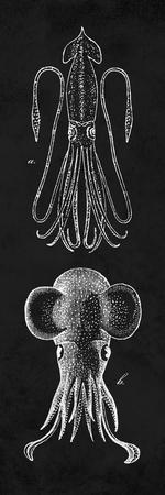 Art Print, , small