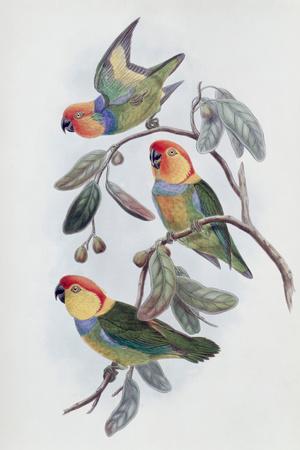 Giclee Print, , small