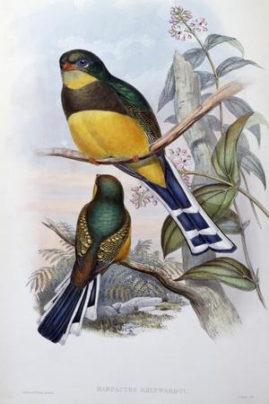 Giclee Print, , small