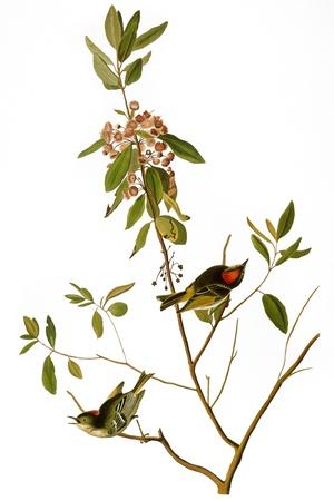 Giclee Print, , small