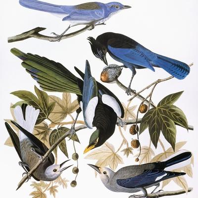 Giclee Print, , small
