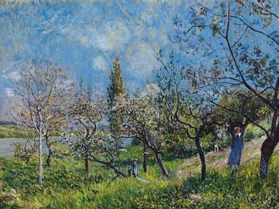 Giclee Print, , small