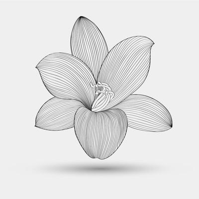 Art Print, , small