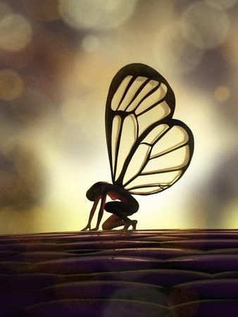 Art Print, , small