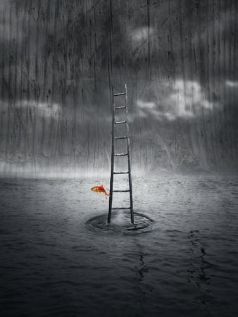 Art Print, , small