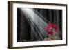 Great Potential-digitalista-Framed Art Print