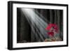 Great Potential-digitalista-Framed Art Print